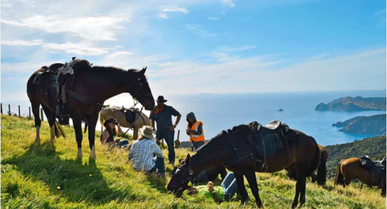 Horse riding along Spain's coasts.