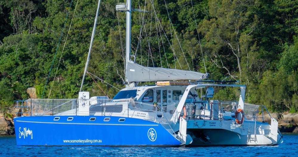 whale watching in sydney - Best Time Of Year to go Whale Watching in Sydney Sea Monkey Catamaran in Sydney, Australia.